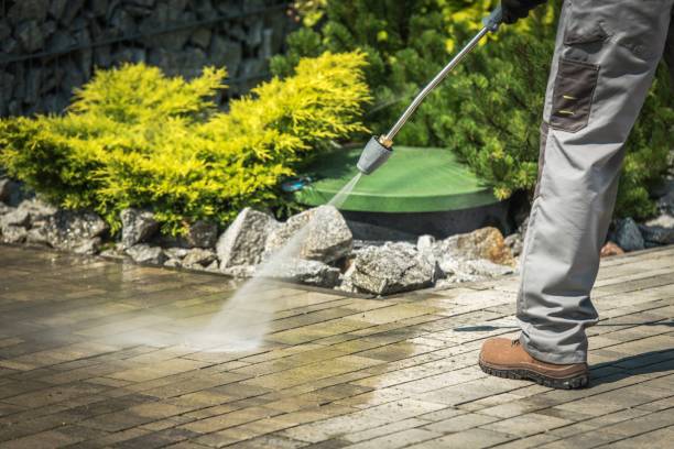 Best Pool Deck Cleaning  in Cedar Ridge, CA