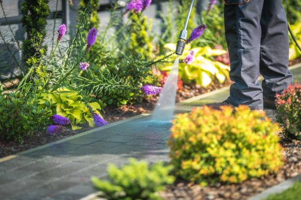 Best Fence Cleaning  in Cedar Ridge, CA