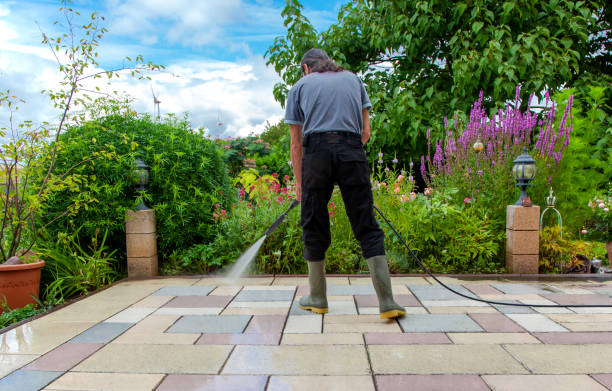 Reliable Cedar Ridge, CA  Pressure Washing Services Solutions