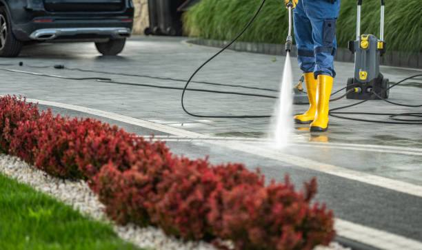 Best Dumpster Area Cleaning  in Cedar Ridge, CA